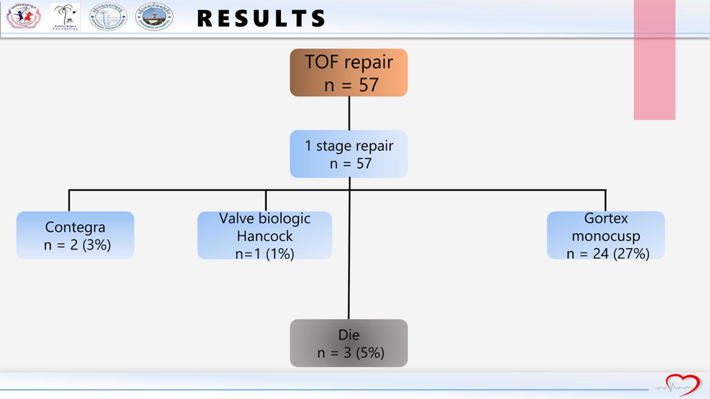 2025 Pediatric Heart Forum Presentation 239페이지