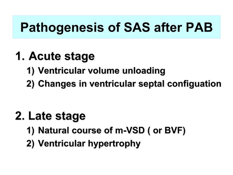 2025 Pediatric Heart Forum Presentation 314페이지