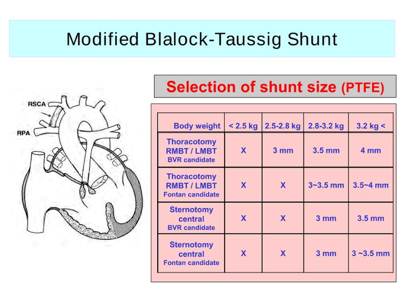 2025 Pediatric Heart Forum Presentation 282페이지