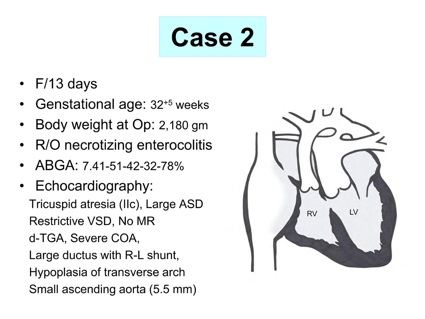 2025 Pediatric Heart Forum Presentation 328페이지