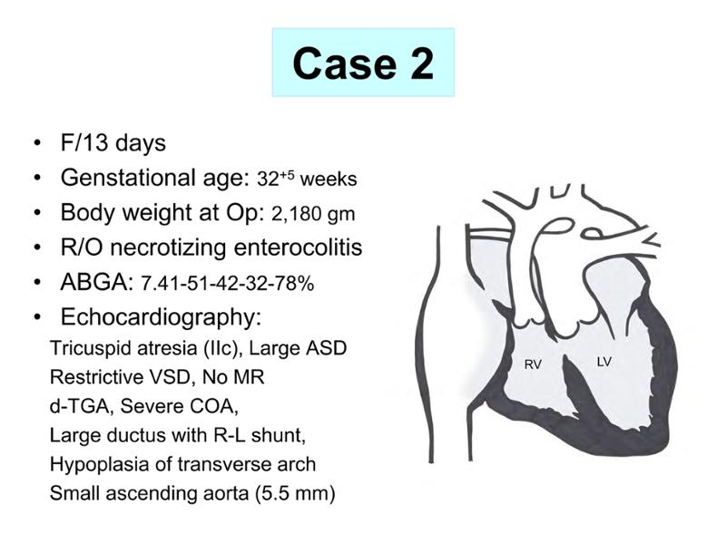 2025 Pediatric Heart Forum Presentation 328페이지