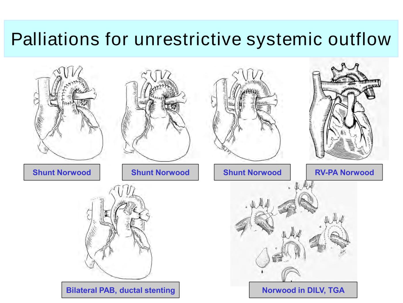 2025 Pediatric Heart Forum Presentation 290페이지