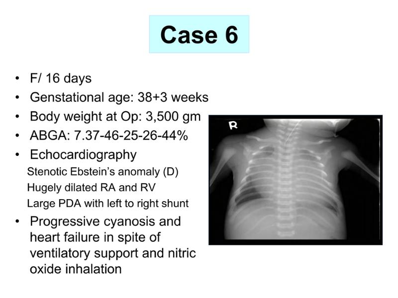 2025 Pediatric Heart Forum Presentation 361페이지
