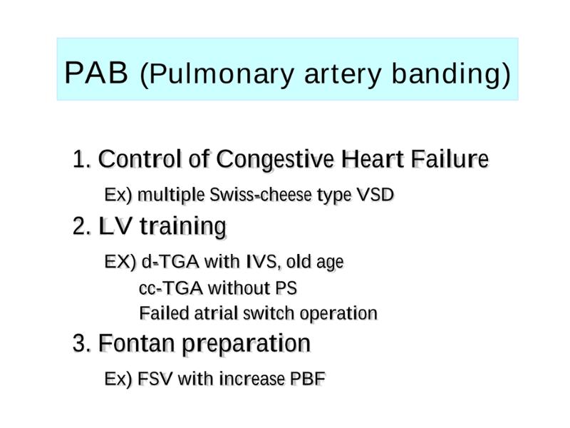 2025 Pediatric Heart Forum Presentation 311페이지