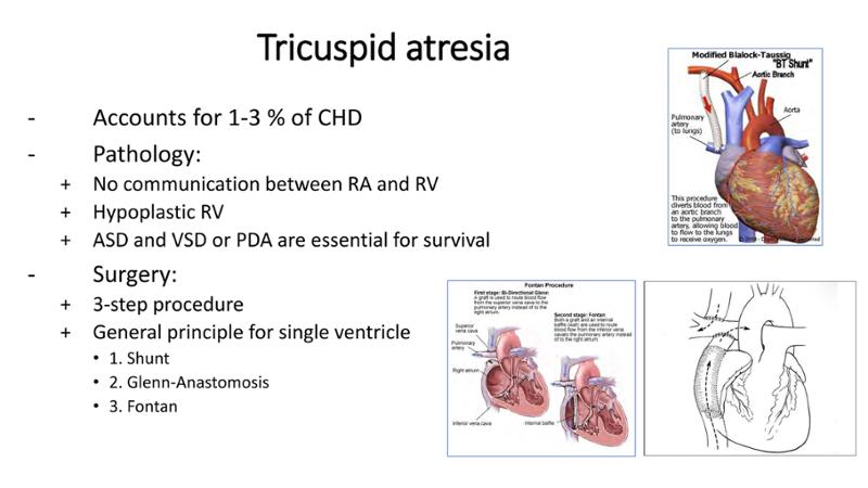 2025 Pediatric Heart Forum Presentation 385페이지