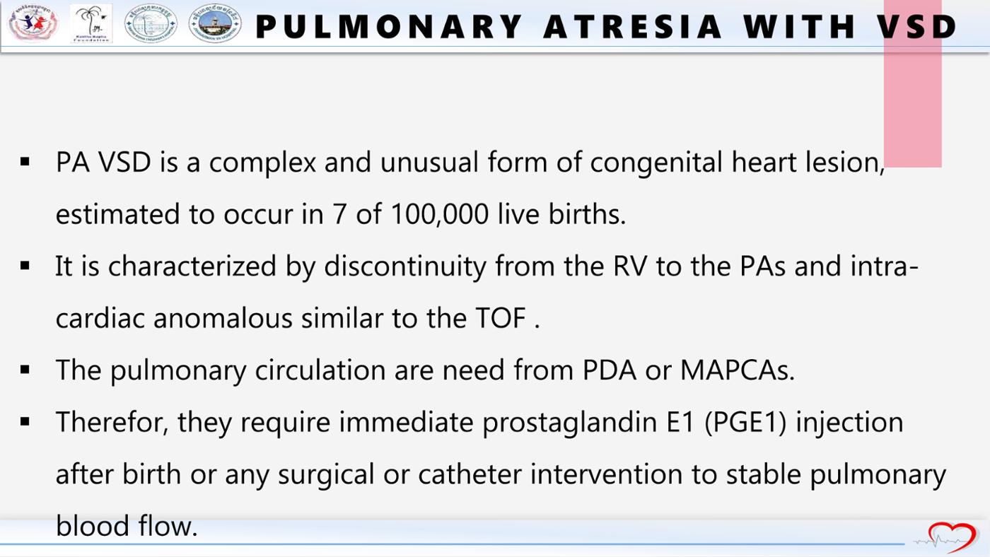 2025 Pediatric Heart Forum Presentation 233페이지