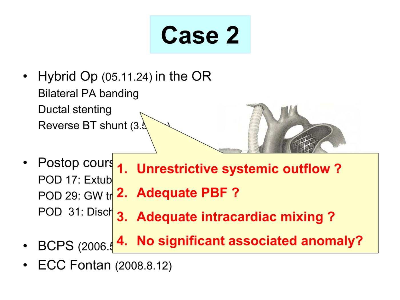 2025 Pediatric Heart Forum Presentation 329페이지