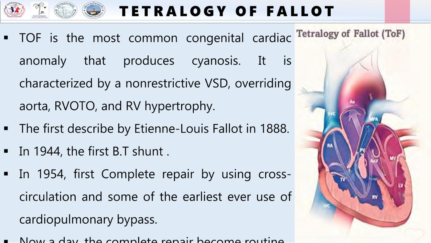 2025 Pediatric Heart Forum Presentation 228페이지