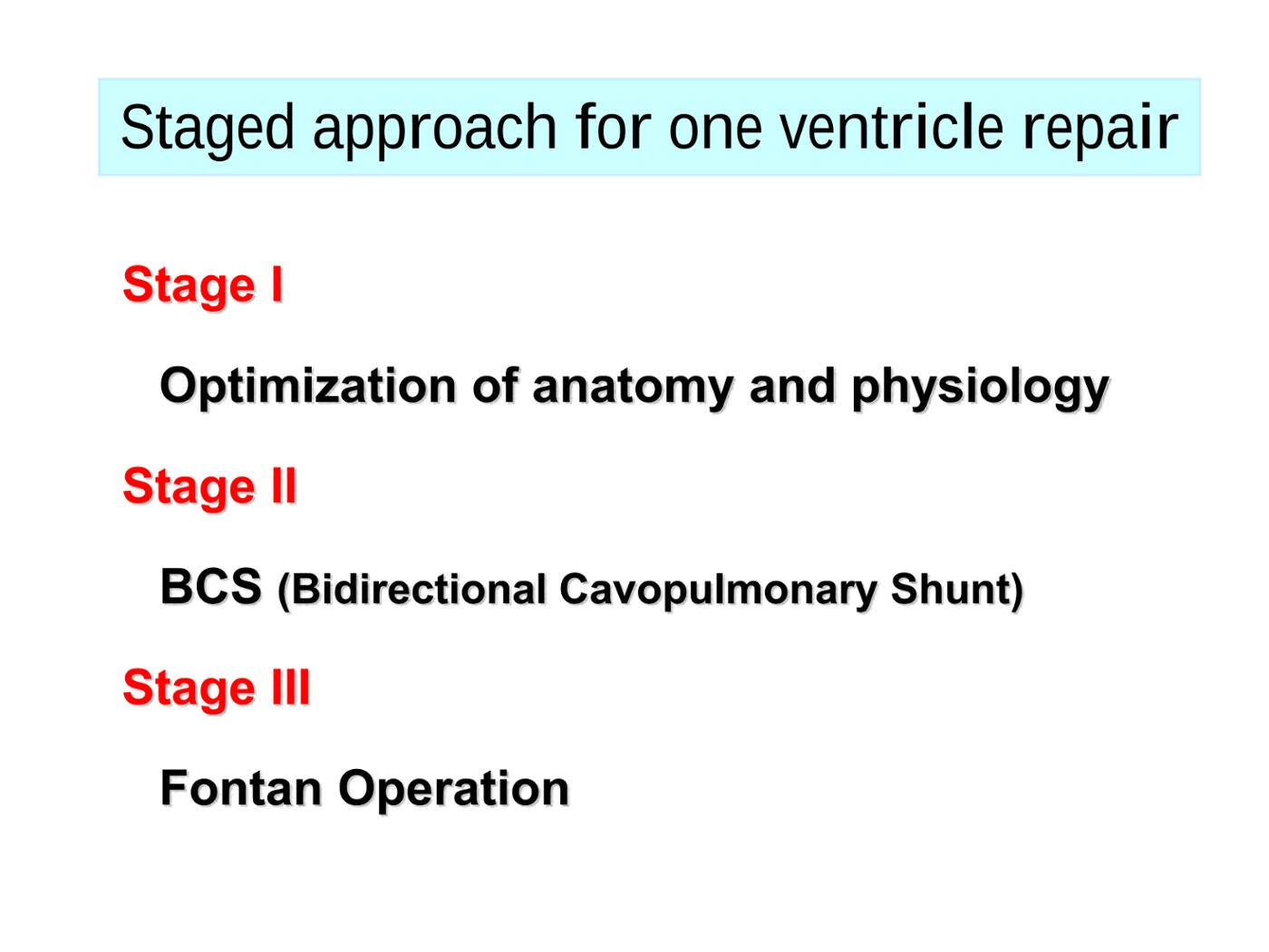 2025 Pediatric Heart Forum Presentation 364페이지