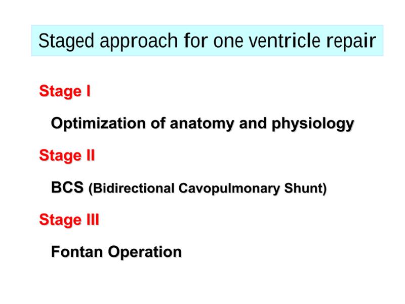 2025 Pediatric Heart Forum Presentation 364페이지