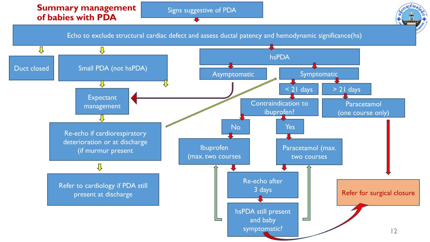 2025 Pediatric Heart Forum Presentation 58페이지