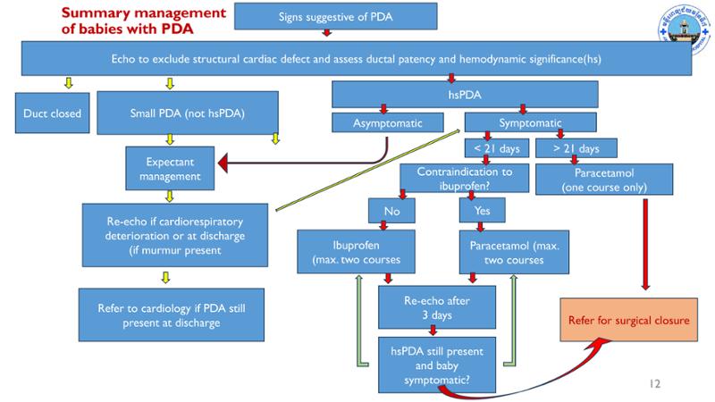 2025 Pediatric Heart Forum Presentation 58페이지