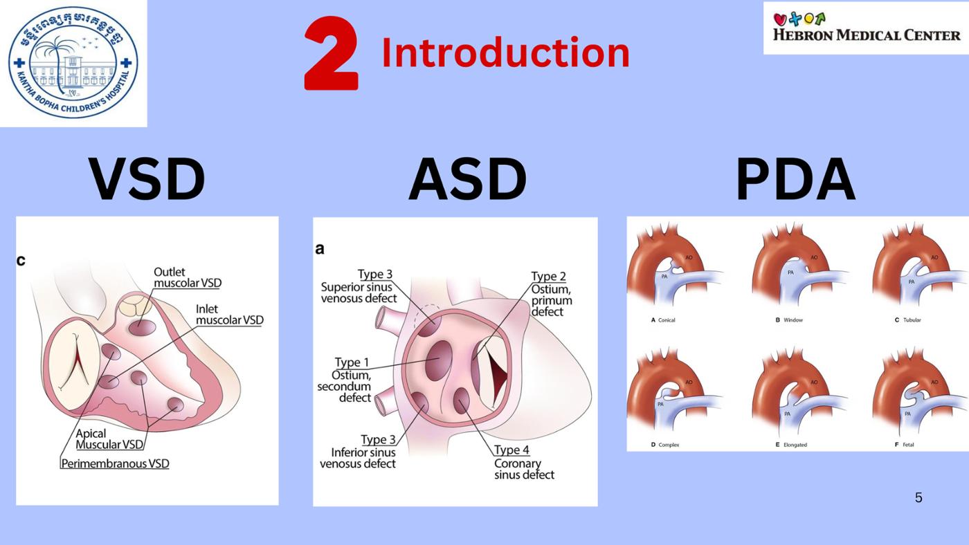 2025 Pediatric Heart Forum Presentation 203페이지