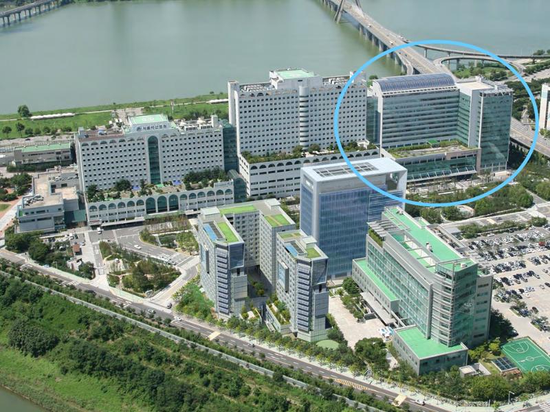 2025 Pediatric Heart Forum Presentation 248페이지