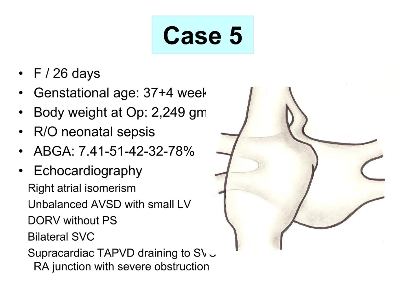 2025 Pediatric Heart Forum Presentation 346페이지
