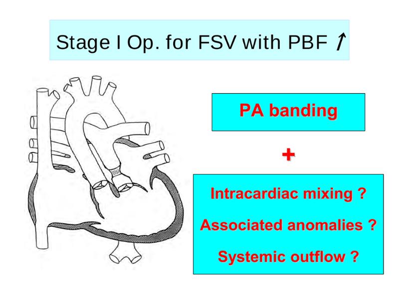 2025 Pediatric Heart Forum Presentation 308페이지
