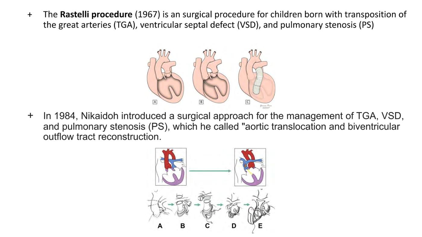 2025 Pediatric Heart Forum Presentation 397페이지