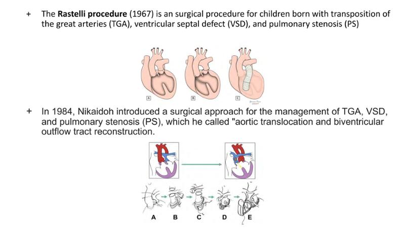 2025 Pediatric Heart Forum Presentation 397페이지