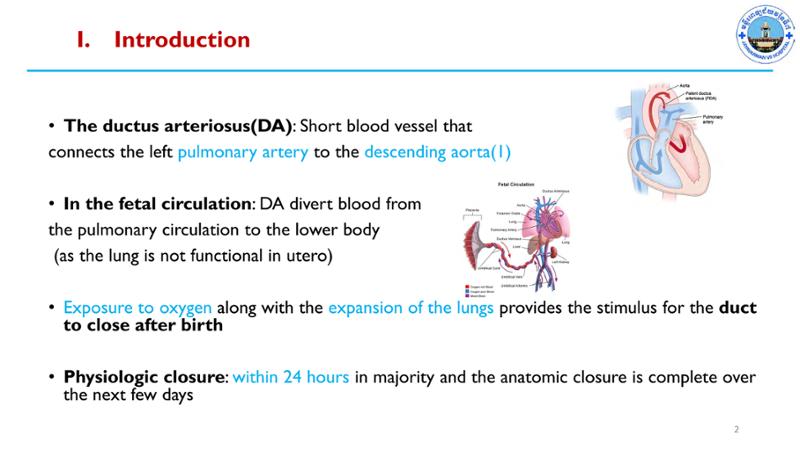 2025 Pediatric Heart Forum Presentation 48페이지