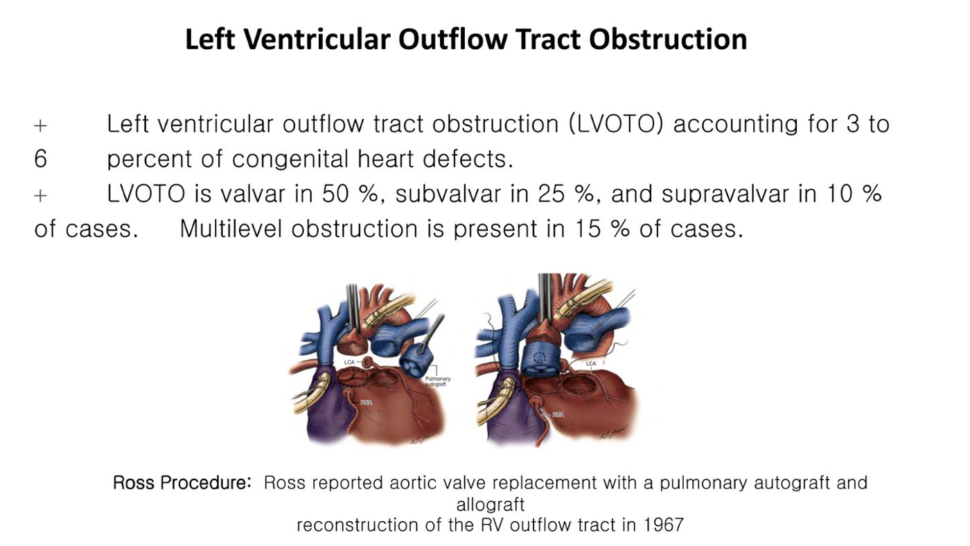2025 Pediatric Heart Forum Presentation 383페이지