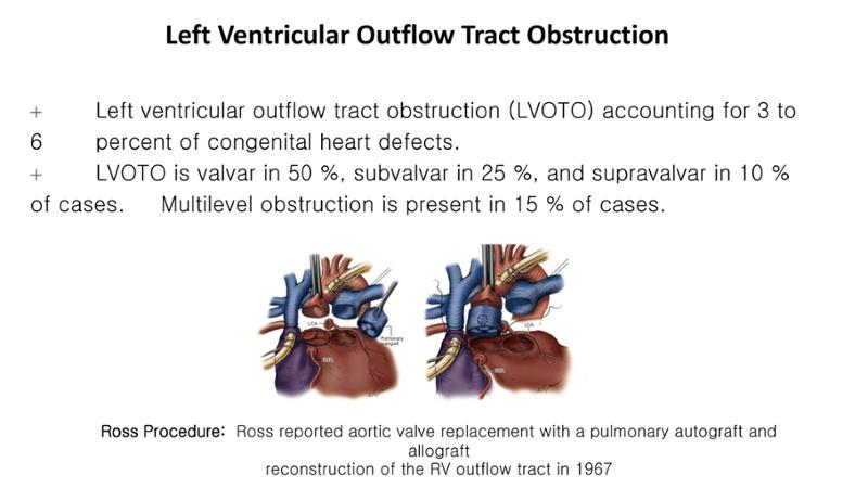 2025 Pediatric Heart Forum Presentation 383페이지