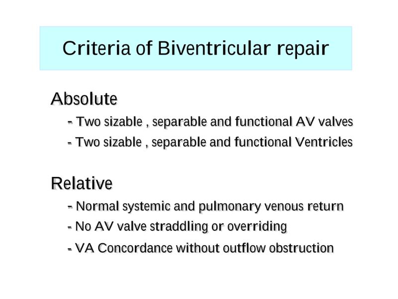 2025 Pediatric Heart Forum Presentation 294페이지
