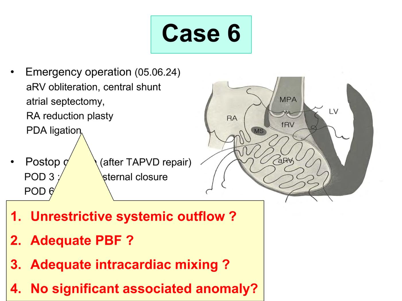 2025 Pediatric Heart Forum Presentation 363페이지