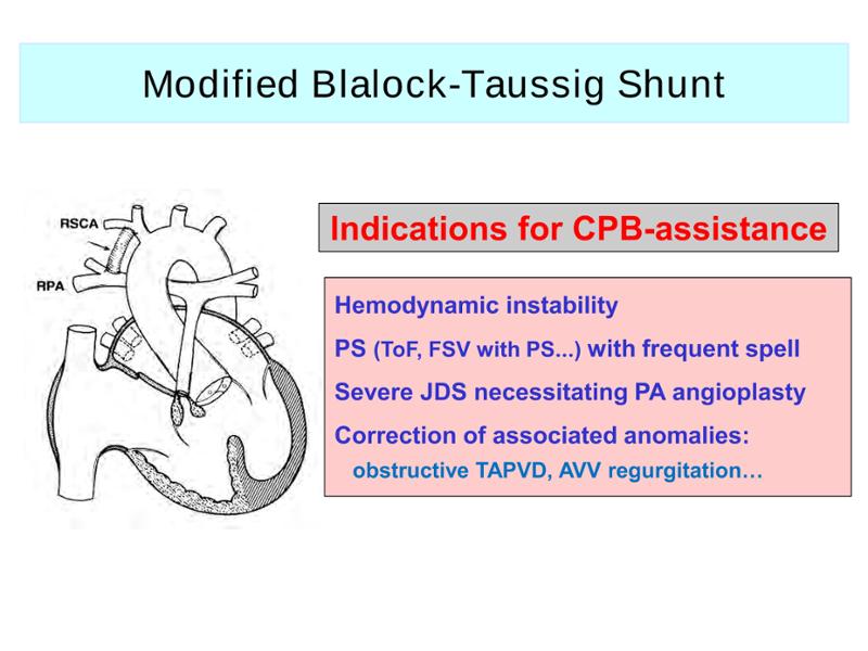 2025 Pediatric Heart Forum Presentation 284페이지