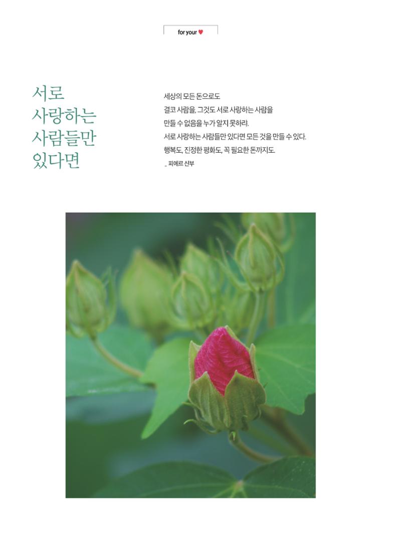 2020 심장소식 가을호  127호 2페이지