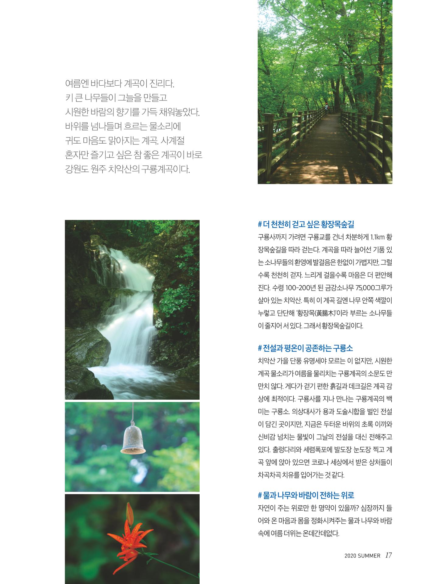 2020 심장소식 여름호 126호 17페이지
