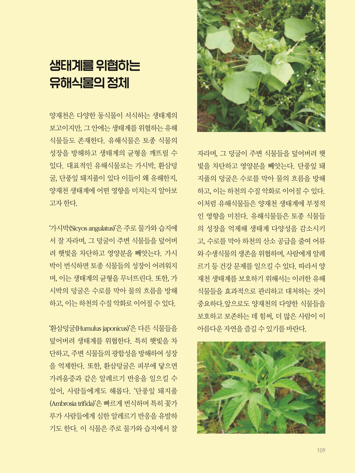 여기, 부림동 111페이지