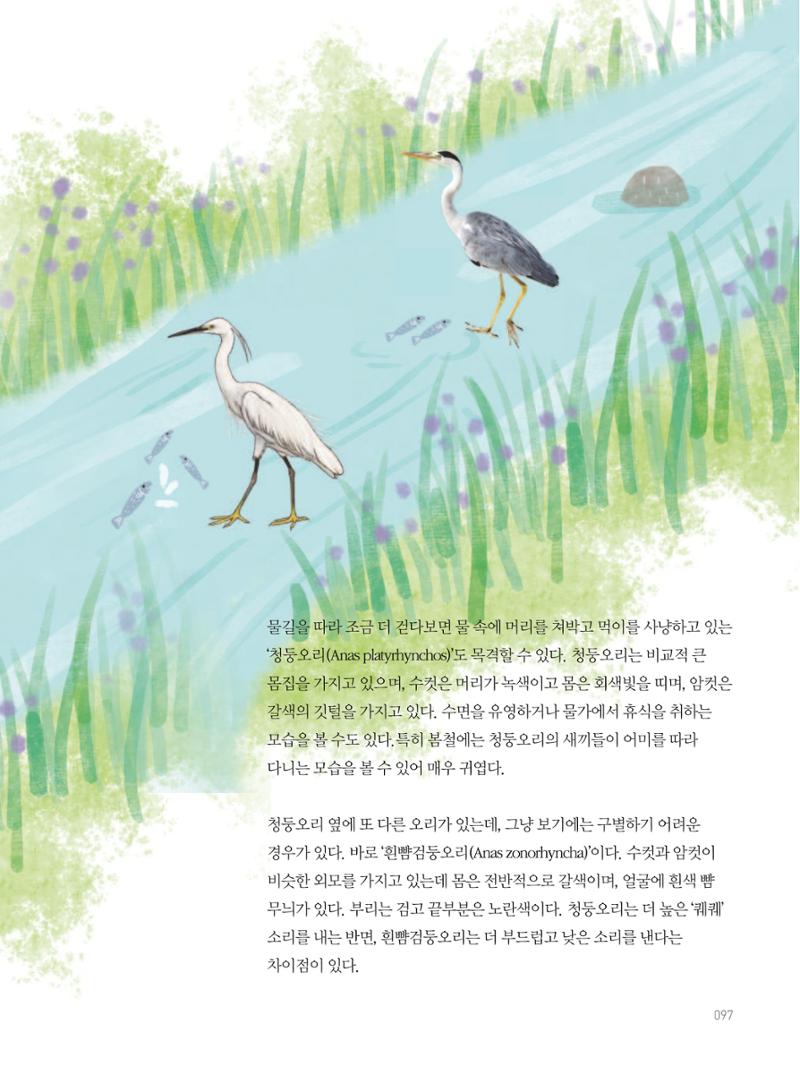 여기, 부림동 99페이지
