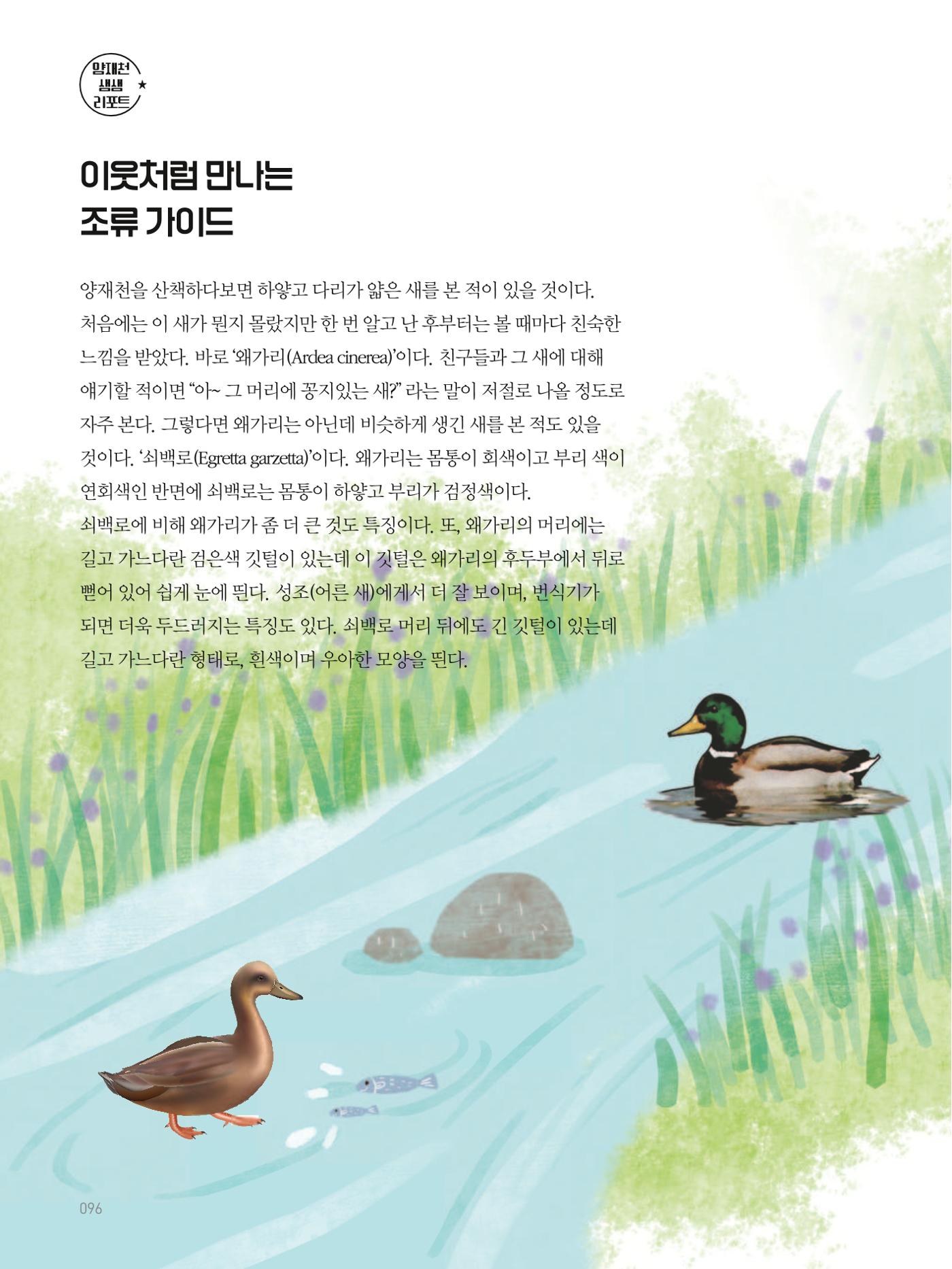 여기, 부림동 98페이지