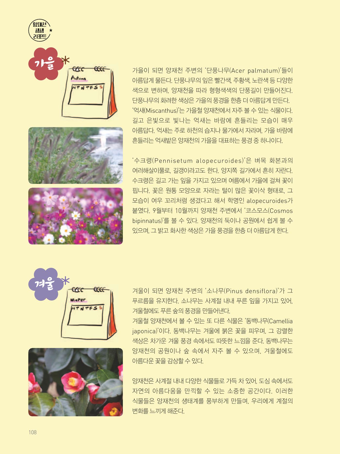 여기, 부림동 110페이지
