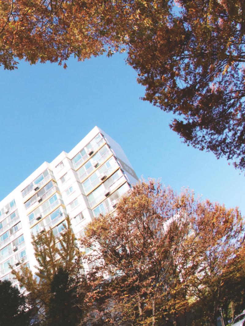 여기, 부림동 113페이지