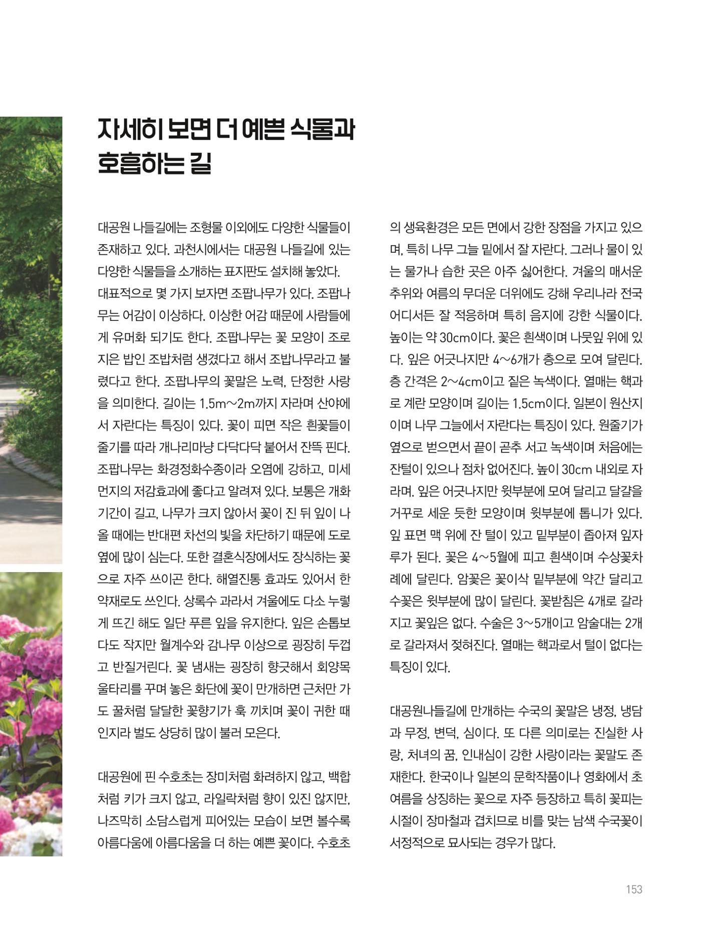 여기, 부림동 155페이지