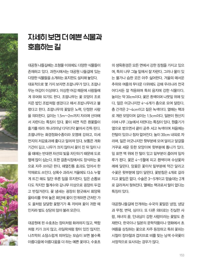 여기, 부림동 155페이지