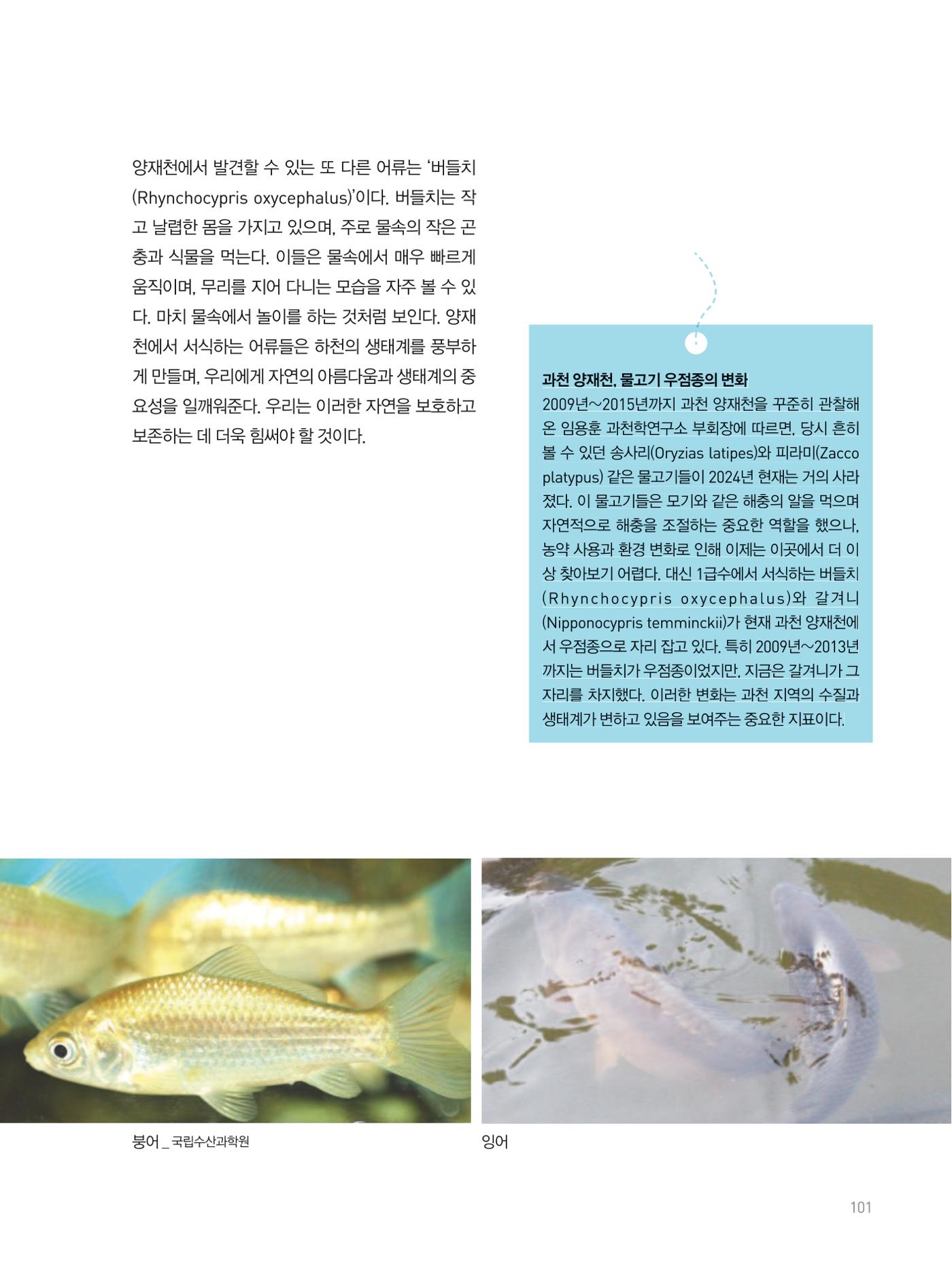 여기, 부림동 103페이지