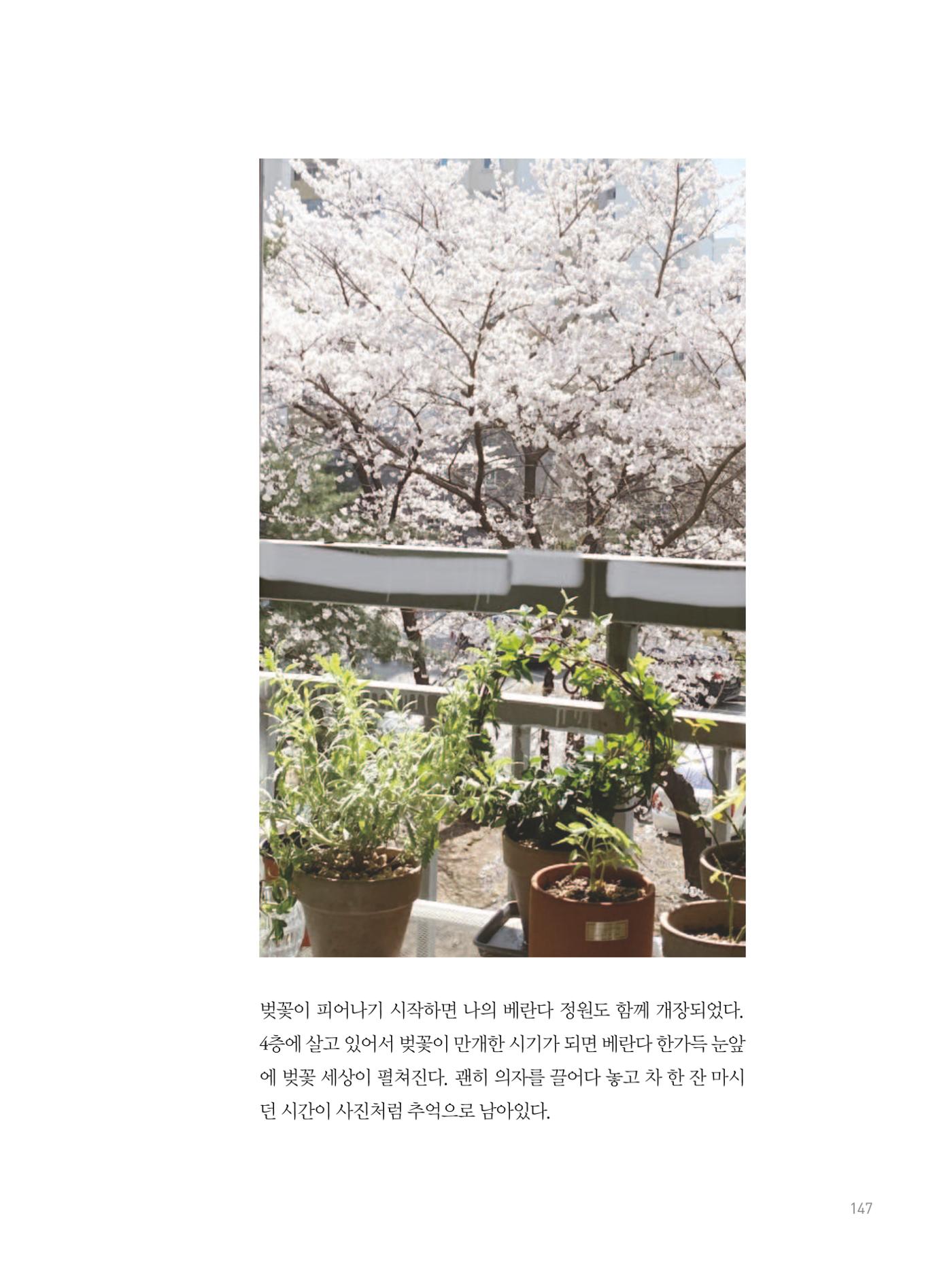 여기, 부림동 149페이지