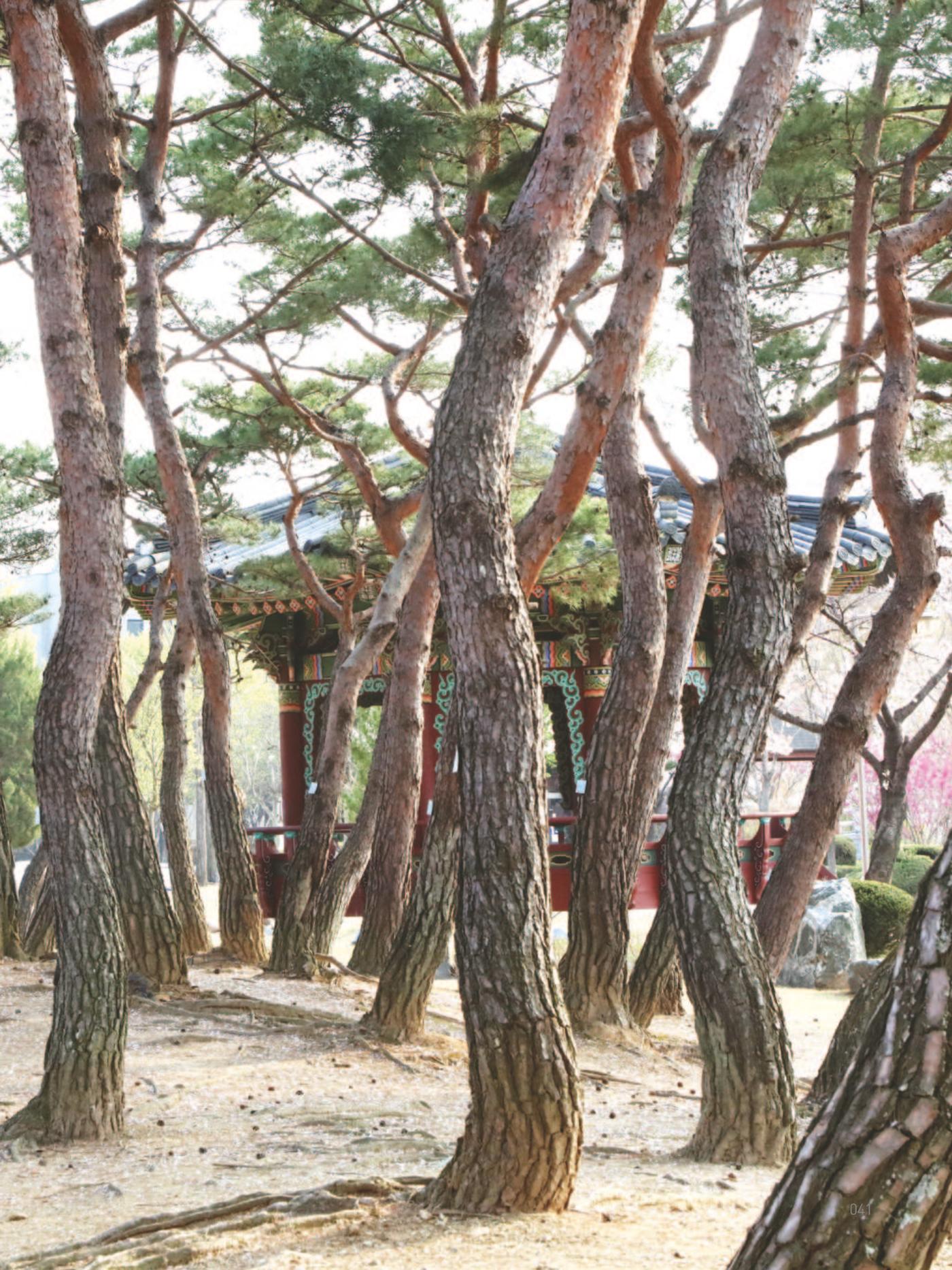 여기, 부림동 43페이지