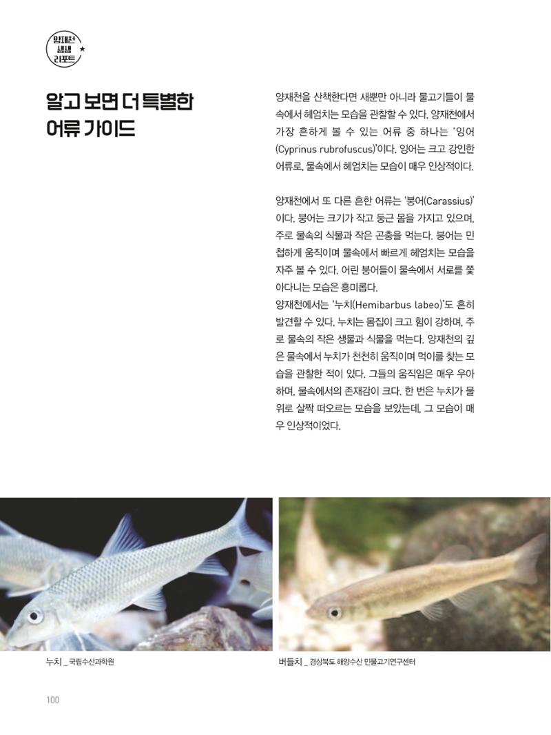 여기, 부림동 102페이지