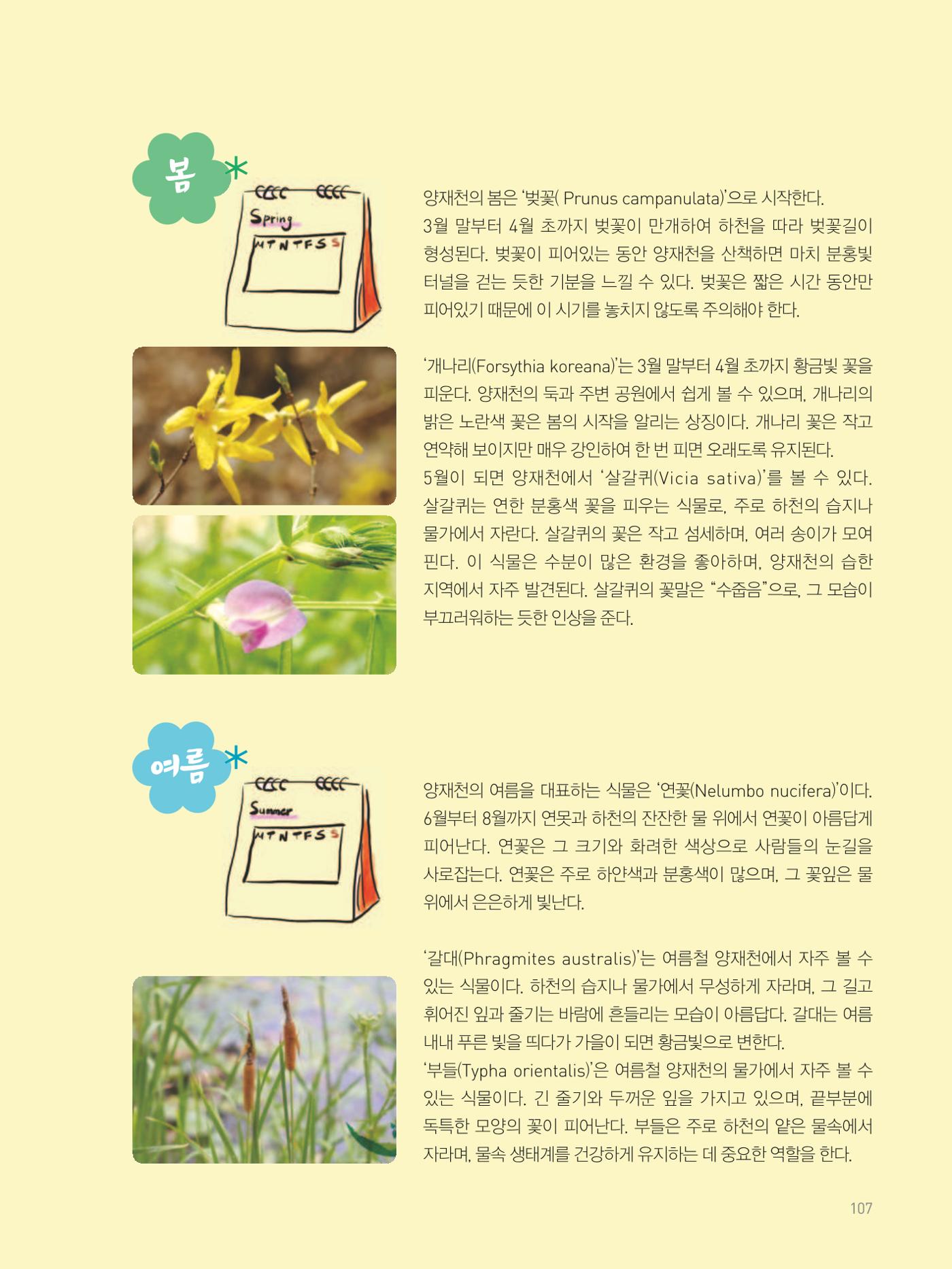 여기, 부림동 109페이지