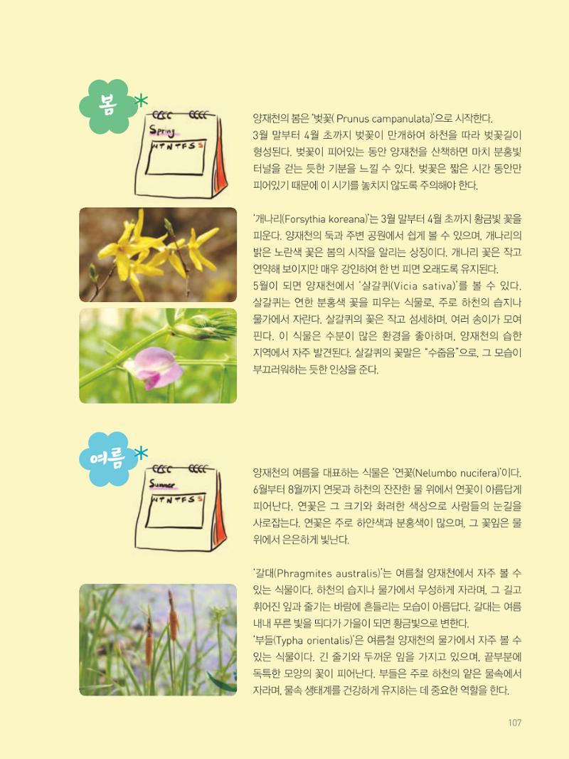 여기, 부림동 109페이지