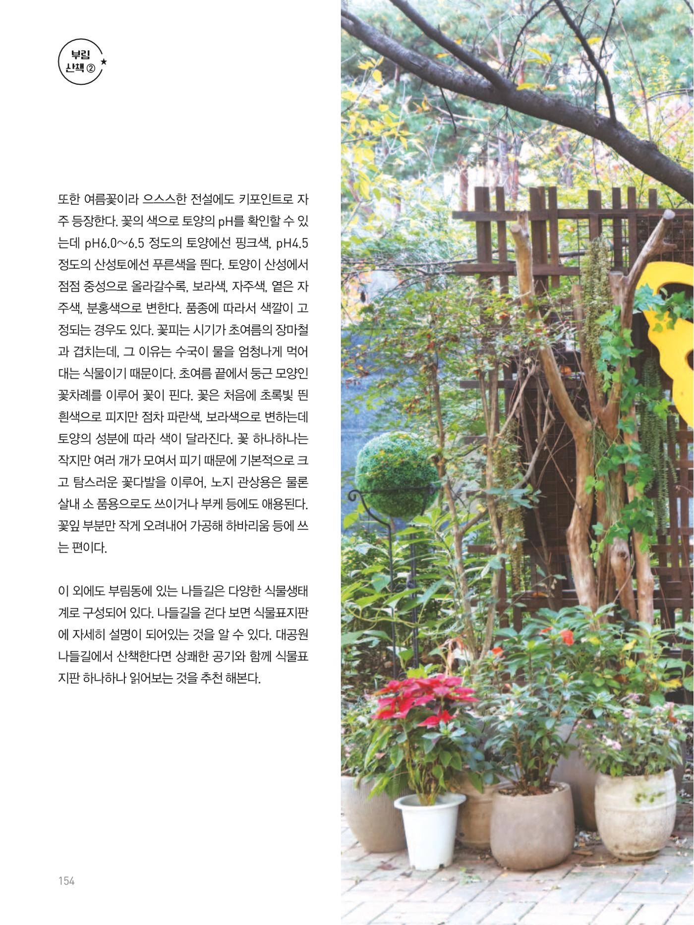여기, 부림동 156페이지