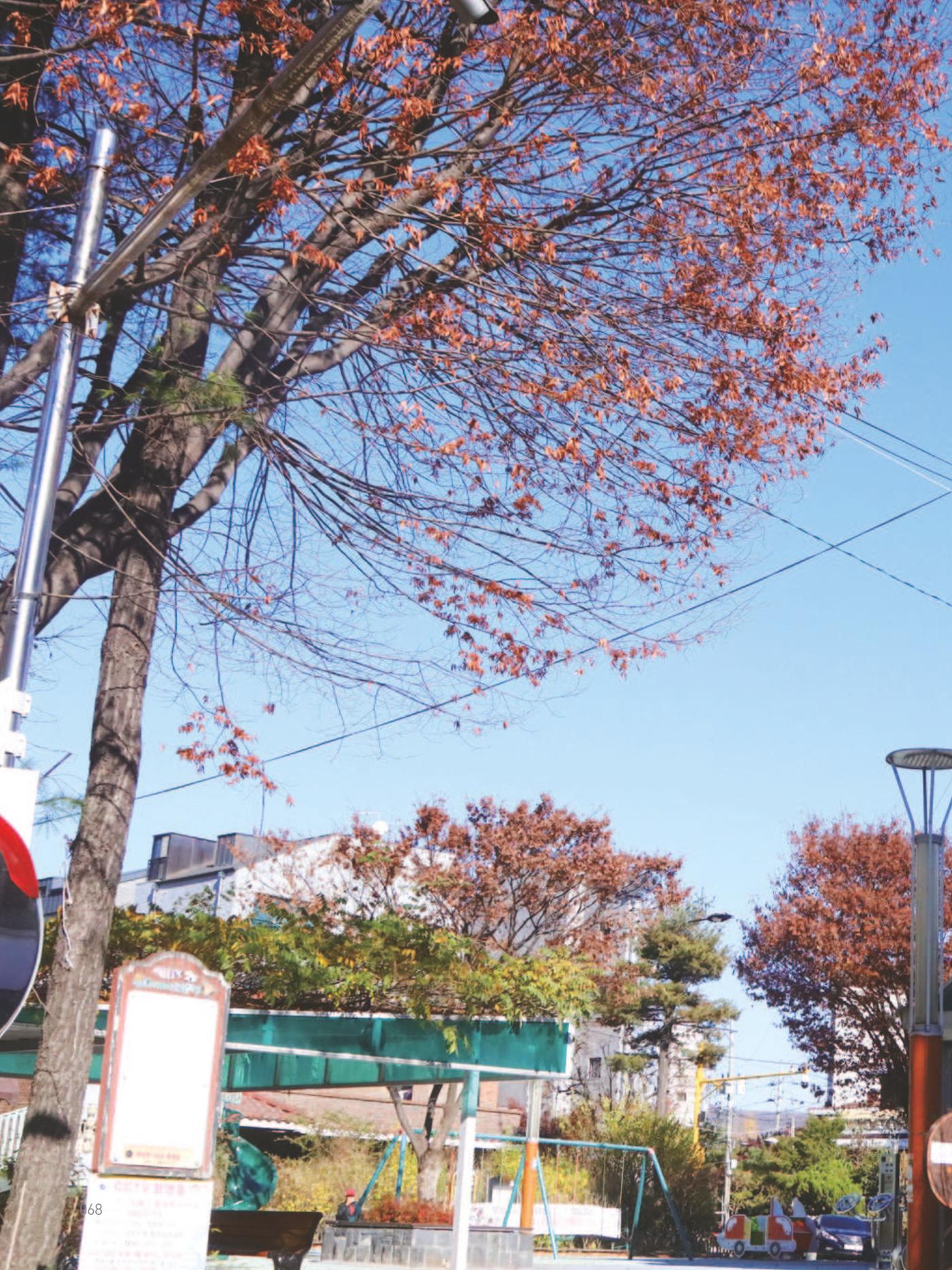여기, 부림동 70페이지