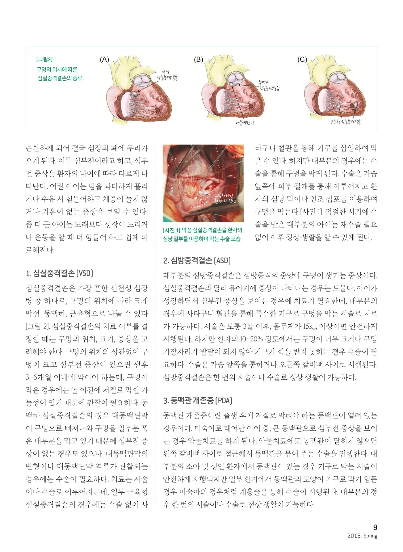 2018 심장소식 봄호 117호 11페이지