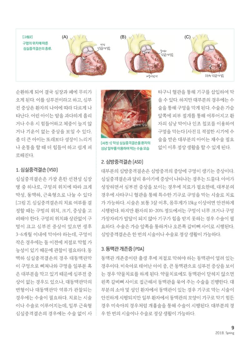2018 심장소식 봄호 117호 11페이지