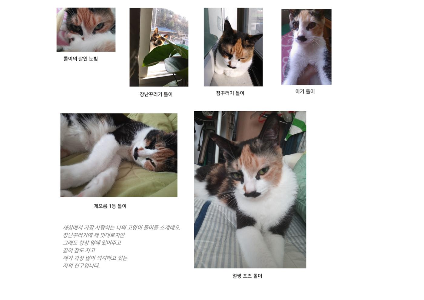 사랑하는 나의 톨이 1페이지