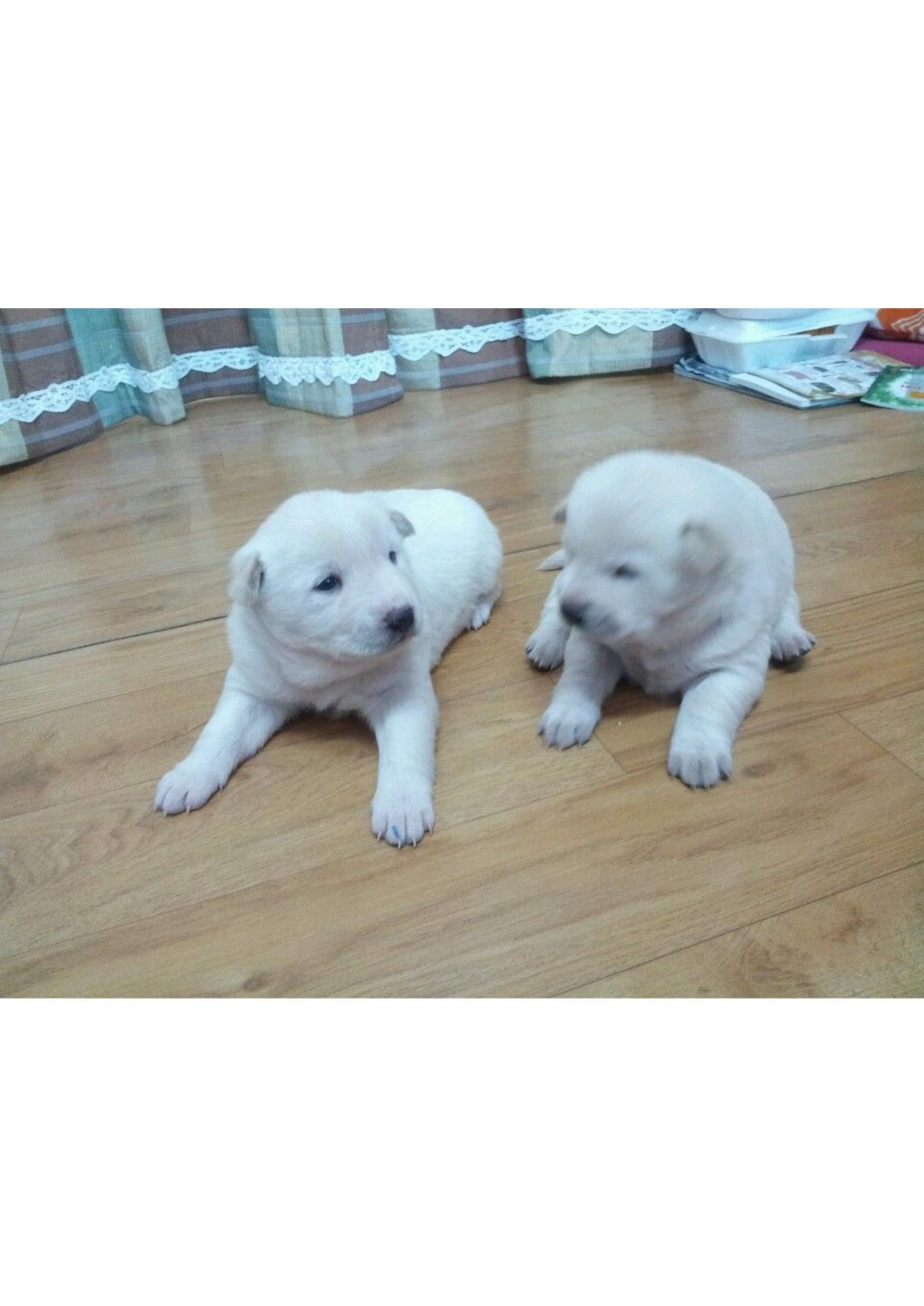 첫눈과 천사들 8페이지