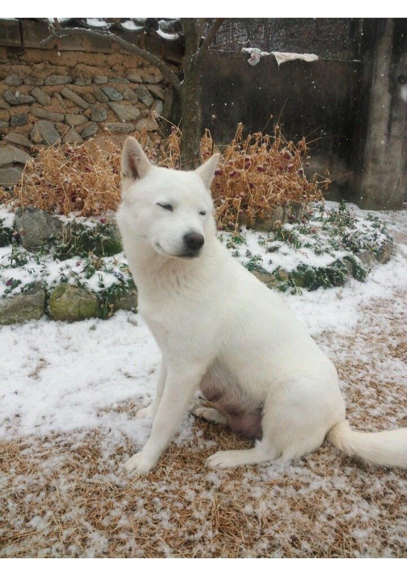 첫눈과 천사들 1페이지